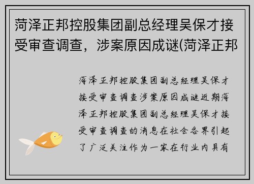 菏泽正邦控股集团副总经理吴保才接受审查调查，涉案原因成谜(菏泽正邦置业开发过哪些地方)