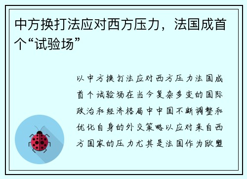 中方换打法应对西方压力，法国成首个“试验场”
